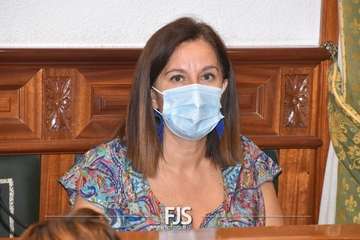 Pleno ordinario de julio de 2022/Francisco Javier Santana.